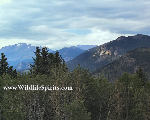 Click Picture to send as an  E-PostCard 50k 525x420
